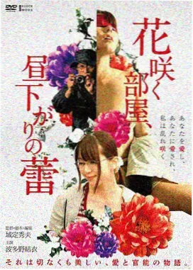 伯德小姐 美国生活的电影